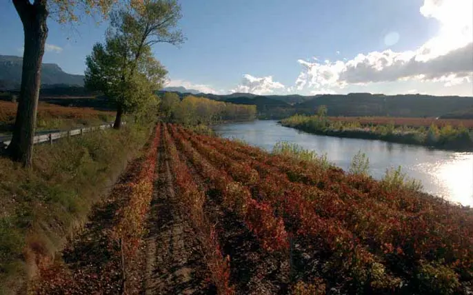 リオハアラベサ